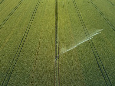 Mahsulle ilgileniyorum. Tarım ve tarım arazileri için havadan sulama sistemi