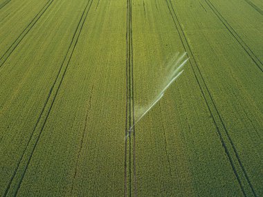 Mahsulle ilgileniyorum. Tarım ve tarım arazileri için havadan sulama sistemi