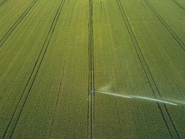 Mahsulle ilgileniyorum. Tarım ve tarım arazileri için havadan sulama sistemi