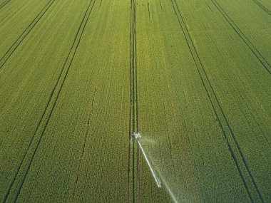 Mahsulle ilgileniyorum. Tarım ve tarım arazileri için havadan sulama sistemi
