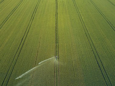 Mahsulle ilgileniyorum. Tarım ve tarım arazileri için havadan sulama sistemi