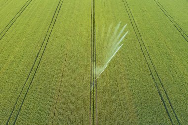 Mahsulle ilgileniyorum. Tarım ve tarım arazileri için havadan sulama sistemi