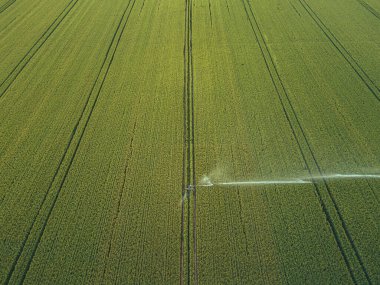 Mahsulle ilgileniyorum. Tarım ve tarım arazileri için havadan sulama sistemi