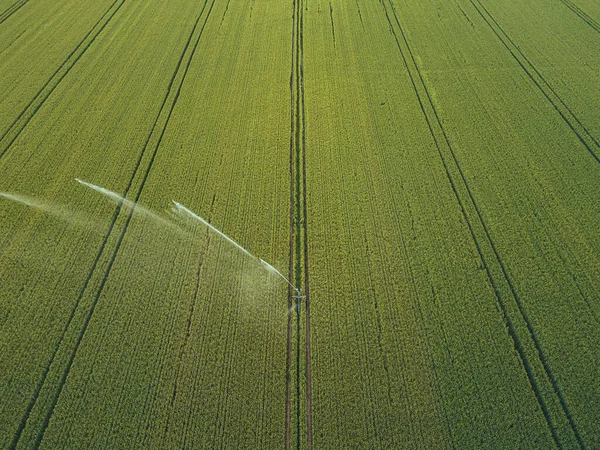 Cuidar Colheita Vista Aérea Sistema Irrigação Para Agricultura Regando Terras — Fotografia de Stock