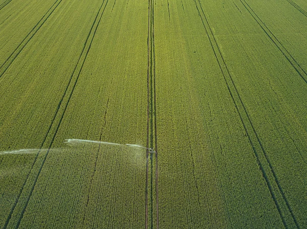 Taking Care Crop Aerial View Irrigation System Agriculture Watering Farmland — Stock Photo, Image