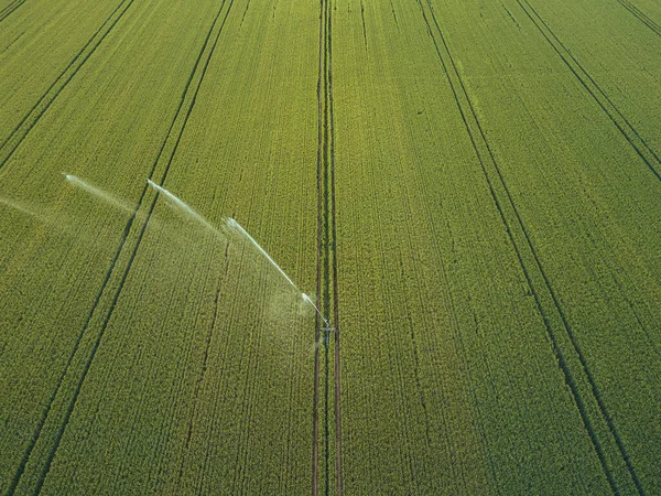 Taking Care Crop Aerial View Irrigation System Agriculture Watering Farmland — Stock Photo, Image