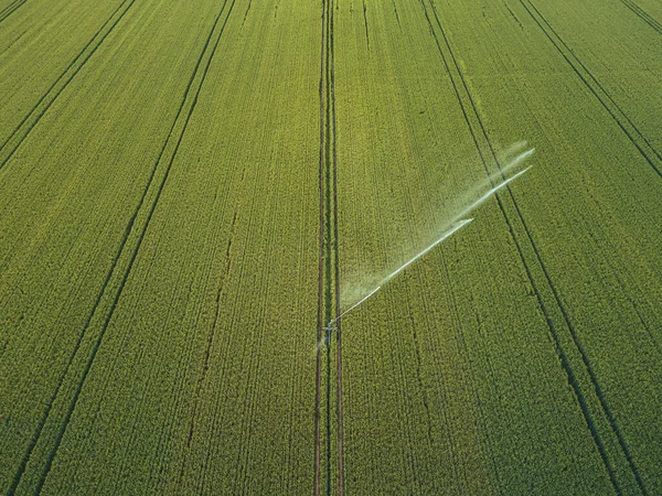 Die Pflege Der Ernte Luftaufnahme Des Bewässerungssystems Für Die Landwirtschaft — Stockfoto