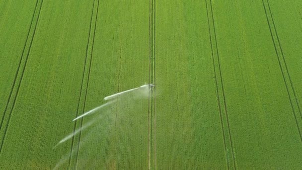 作物の世話をする 水やり農地のための灌漑システムの空中ビュー — ストック動画