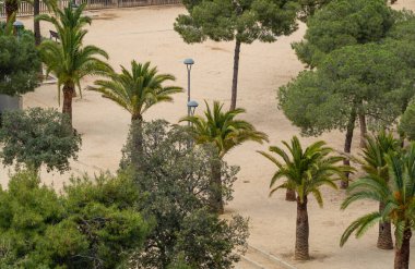 Barselona-İspanya, 5 Mayıs 2023: Joan Miro Parkı 'ndaki palmiye ağaçları ve bitki örtüsünün tepesinden panoramik manzara (Parc de l' Escorxador)