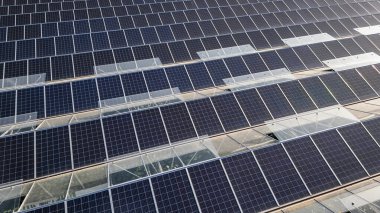 Çatıda monte edilmiş fotovoltaik güneş panelleriyle sebze yetiştirmek için sera, sürdürülebilir ve çevre dostu gıda üretimi için tarım ve güneş enerjisini birleştiriyor