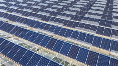 Çifte kullanımlı tarım sisteminde çevre dostu sebze çiftçiliği ve yenilenebilir enerji üretimi için sabah güneşinde yıkanan güneş panelli sürdürülebilir sera.