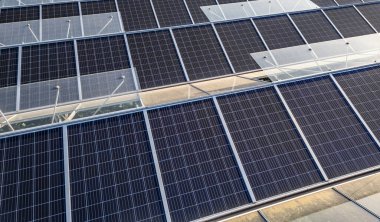 Çifte kullanımlı tarım sisteminde çevre dostu sebze çiftçiliği ve yenilenebilir enerji üretimi için sabah güneşinde yıkanan güneş panelli sürdürülebilir sera.