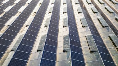 Çifte kullanımlı tarım sisteminde çevre dostu sebze çiftçiliği ve yenilenebilir enerji üretimi için sabah güneşinde yıkanan güneş panelli sürdürülebilir sera.