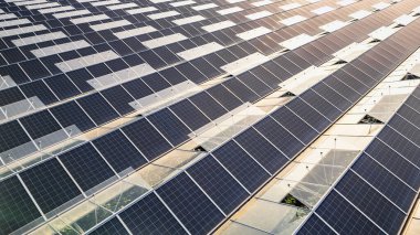 Çifte kullanımlı tarım sisteminde çevre dostu sebze çiftçiliği ve yenilenebilir enerji üretimi için sabah güneşinde yıkanan güneş panelli sürdürülebilir sera.