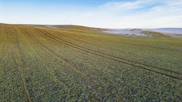 Kışın açık mavi gökyüzü altında kar yamaçları ve traktör lastik izleri olan tarım alanının havadan görünüşü.