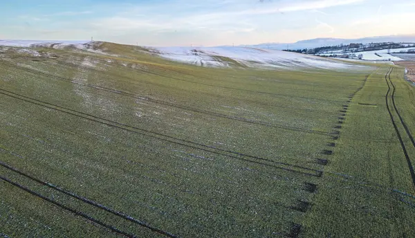 Kışın açık mavi gökyüzü altında kar yamaçları ve traktör lastik izleri olan tarım alanının havadan görünüşü.