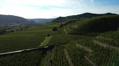 Tain Hermitage, Rhone Valley, Fransa 'nın En Ünlü Şarap Bölgesi ve Manzarası Üzüm Bağları' nda Gün Batımı