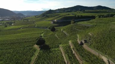 Tain Hermitage, Rhone Valley, Fransa 'nın En Ünlü Şarap Bölgesi ve Manzarası Üzüm Bağları' nda Gün Batımı