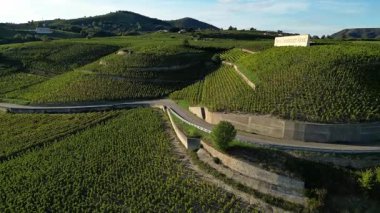 Tain Hermitage, Fransa - 27 Eylül: Tain Hermitage, Rhone Valley, Fransa 'nın Meşhur Şarap Bölgesi ve Manzarası Üzüm Bağları Üzerine Gün Batımı