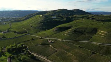 Tain Hermitage, Rhone Valley, Fransa 'nın En Ünlü Şarap Bölgesi ve Manzarası Üzüm Bağları' nda Gün Batımı