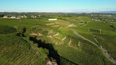 Tain Hermitage, Fransa - 27 Eylül: Tain Hermitage, Rhone Valley, Fransa 'nın Meşhur Şarap Bölgesi ve Manzarası Üzüm Bağları Üzerine Gün Batımı