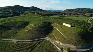 Tain Hermitage, Fransa - 27 Eylül: Tain Hermitage, Rhone Valley, Fransa 'nın Meşhur Şarap Bölgesi ve Manzarası Üzüm Bağları Üzerine Gün Batımı