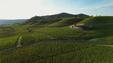 Tain Hermitage, Fransa - 27 Eylül: Tain Hermitage, Rhone Valley, Fransa 'nın Meşhur Şarap Bölgesi ve Manzarası Üzüm Bağları Üzerine Gün Batımı