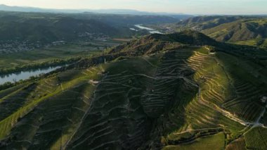 Tain Hermitage, Rhone Valley, Fransa 'nın En Ünlü Şarap Bölgesi ve Manzarası Üzüm Bağları' nda Gün Batımı