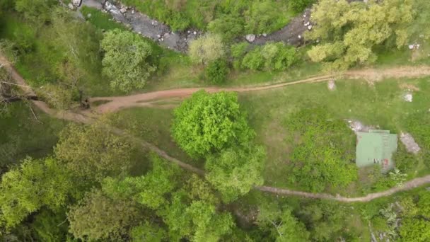 Aerial Top Forest Path Walking River Flowing Trees High Quality — Wideo stockowe