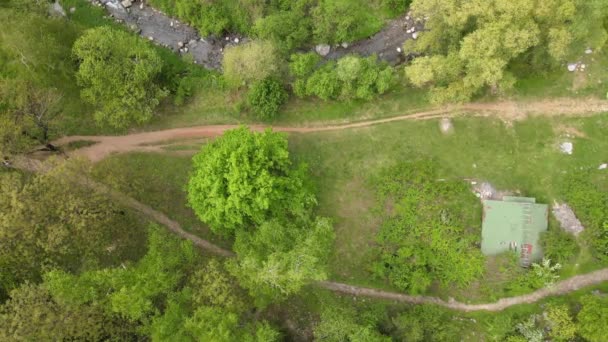 Aerial Top Forest Path Walking River Flowing Trees High Quality — Stock Video