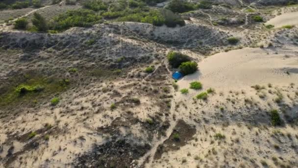 Sanddünen Mit Büschen Bäumen Und Blumen Drohnenbild Aus Der Luft — Stockvideo