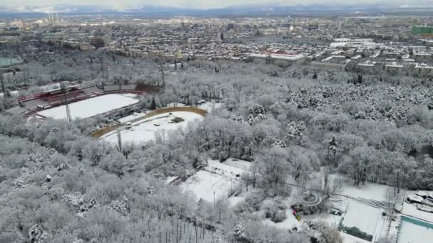 Légi Felvételek Egy Hóerdőről Szófiai Stadionról Bulgáriában Távolban Lévő Városi — Stock videók