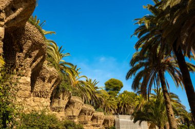 Barcelona 'daki Park Katalonya' daki Park Guell Palm Alley, İspanya. Yüksek kalite fotoğraf