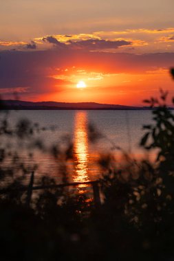 Ağaç dalları ve yapraklar arasında dramatik bir turuncu günbatımı görüntüsü. Karadeniz kıyısında bulutlu sarı-kırmızı gökyüzü. Yüksek kalite fotoğraf