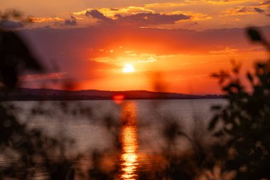 Ağaç dalları ve yapraklar arasında dramatik bir turuncu günbatımı görüntüsü. Karadeniz kıyısında bulutlu sarı-kırmızı gökyüzü. Yüksek kalite fotoğraf