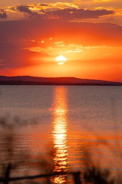 Bulgaristan 'ın Kara Sahili' nde inanılmaz, renkli yaz gündoğumu. Turuncu gün batımı gökyüzü ve mavi suda yansıma. Yüksek kalite fotoğraf