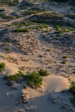 Sunny Beach 'in kumullarında yürüyen turistler. Sunny Beach, Bulgaristan 'da yaz aylarında turistler arasında çok popüler bir şehir. Kum tepelerinin yüksek kaliteli fotoğrafı.