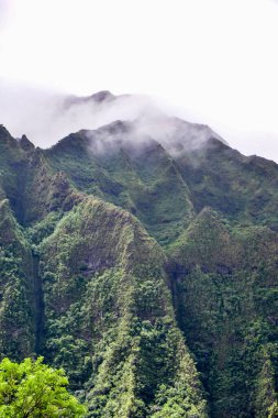 Oahu, Hawaii 'deki yemyeşil bir ormanın ve dağların üzerinden sis bulutu. Yüksek kalite fotoğraf