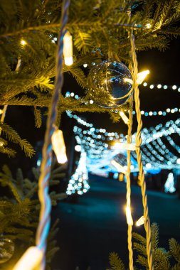 Burgaz 'ın şehir merkezinde renkli ışıklar. Noel tatili için ışıklar ve süslemeler. Işıklı Noel ağaçları. Yüksek kalite fotoğraf