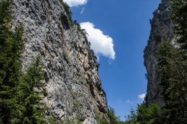 Bir kaya dağına yakın çekim. Yüksek kalite fotoğraf