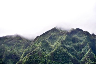 Oahu, Hawaii 'deki yemyeşil bir ormanın ve dağların üzerinden sis bulutu. Yüksek kalite fotoğraf