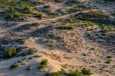 Sunny Beach 'in kumullarında yürüyen turistler. Sunny Beach, Bulgaristan 'da yaz aylarında turistler arasında çok popüler bir şehir. Kum tepelerinin yüksek kaliteli fotoğrafı.