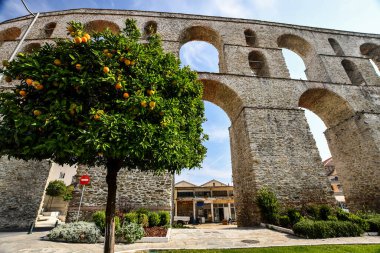 Kavala 'da bir portakal ağacı. Kavala Yunanistan 'da bir şehirdir. Bir portakal ağacının yüksek kaliteli fotoğrafı