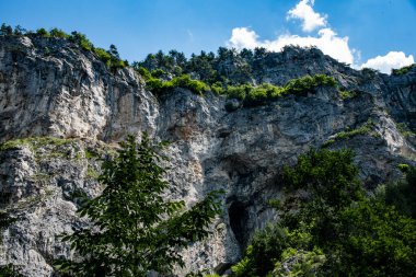 Arka planda ağaçlar olan bir kaya dağına yakın çekim. Yüksek kalite fotoğraf
