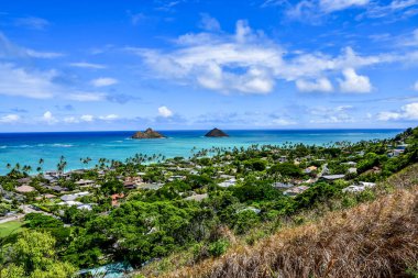 Oahu, Hawaii 'nin güzel bir manzarası. Uzakta açık mavi okyanus, sahilde palmiyeler ve evler. Hawaii 'deki ünlü bir yürüyüş parkurunda çekilmiş kaliteli bir fotoğraf..