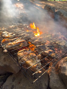 Kamp Ateşi Mutfağı: Rocky Hearth 'da Tavuk Izgarası