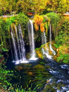 Sersemletici Şelale Çevrelenmiş yemyeşil