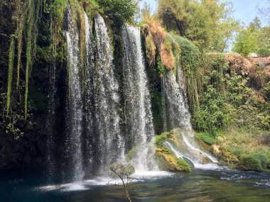 Bereketli Yeşil Çevreli Görkemli Şelale