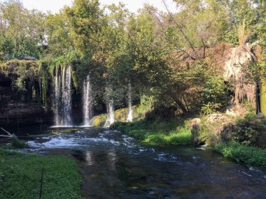 Etrafı Yoğun Yeşil Yapraklarla çevrili Resimli Şelale