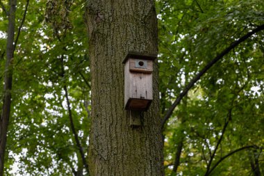 Kırsal Tahta Kuş Yemi: Yeşillikte Rahat Bir Leke